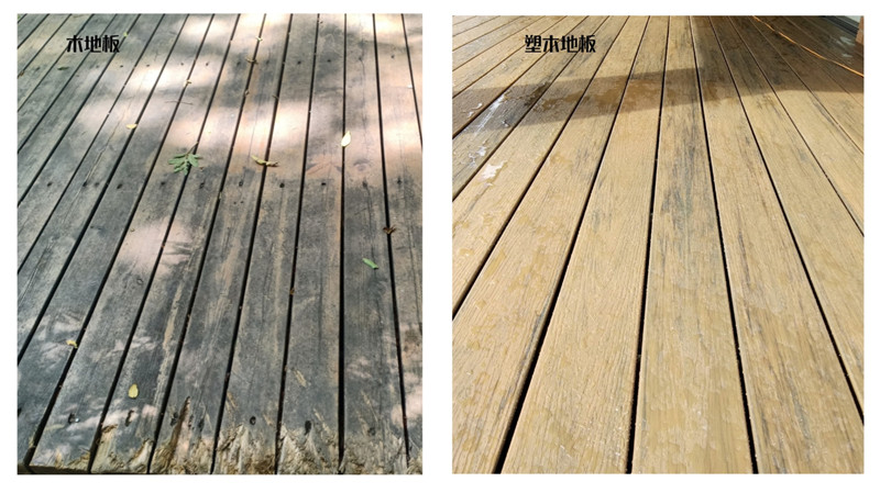 1677563937514050.jpg 默認標題__2023-02-27+15_34_55_副本.jpg